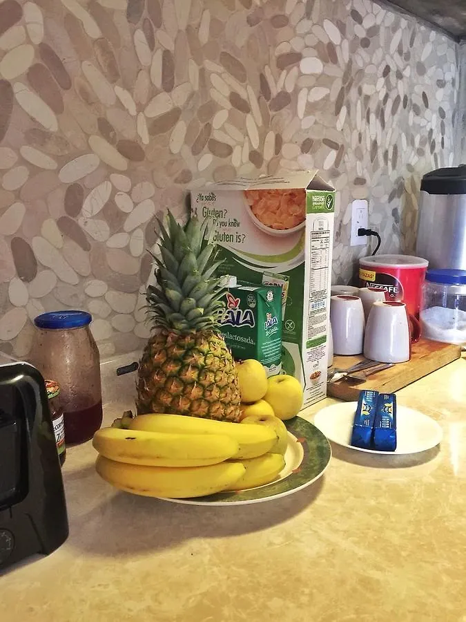 Deja Hostel Playa del Carmen